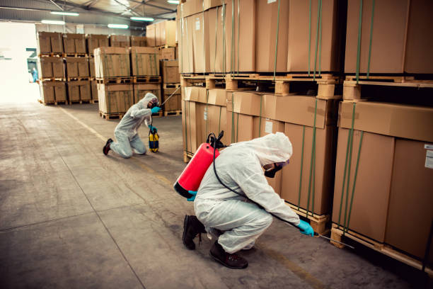Best Flea Control Services  in Centerville, UT
