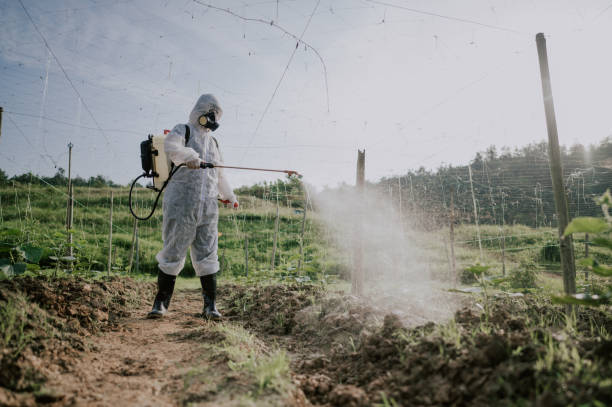 Best Local Pest Control Services  in Centerville, UT