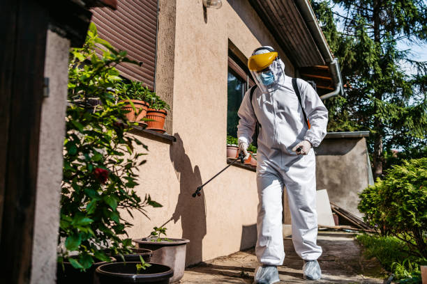 Best Best Pest Control Companies  in Centerville, UT