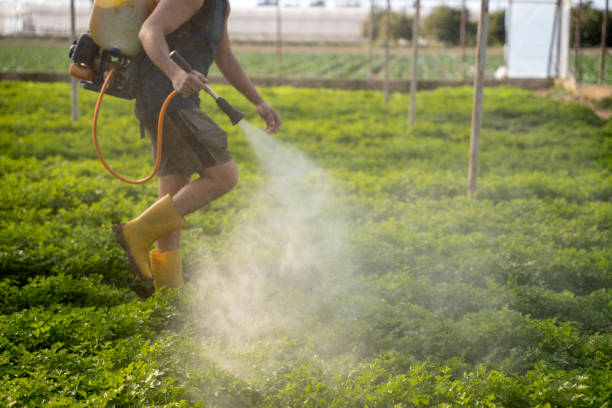 Best Pest Inspection Near Me  in Centerville, UT