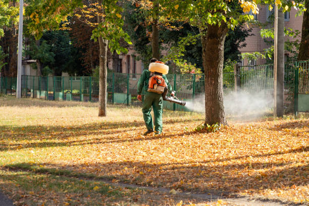 Best Local Pest Control Services  in Centerville, UT