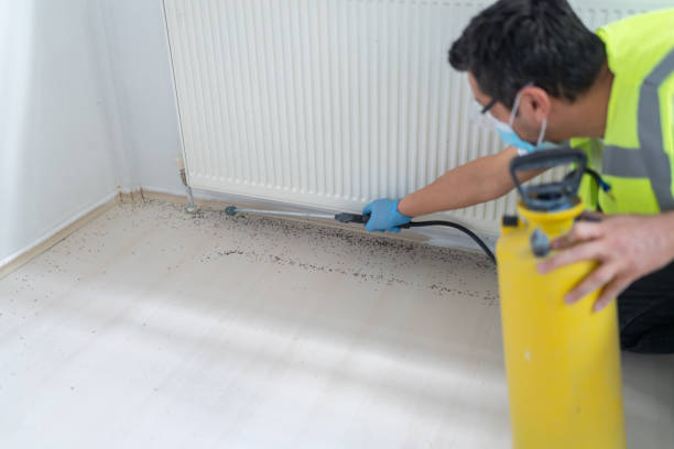 Professional Pest Control in Centerville, UT